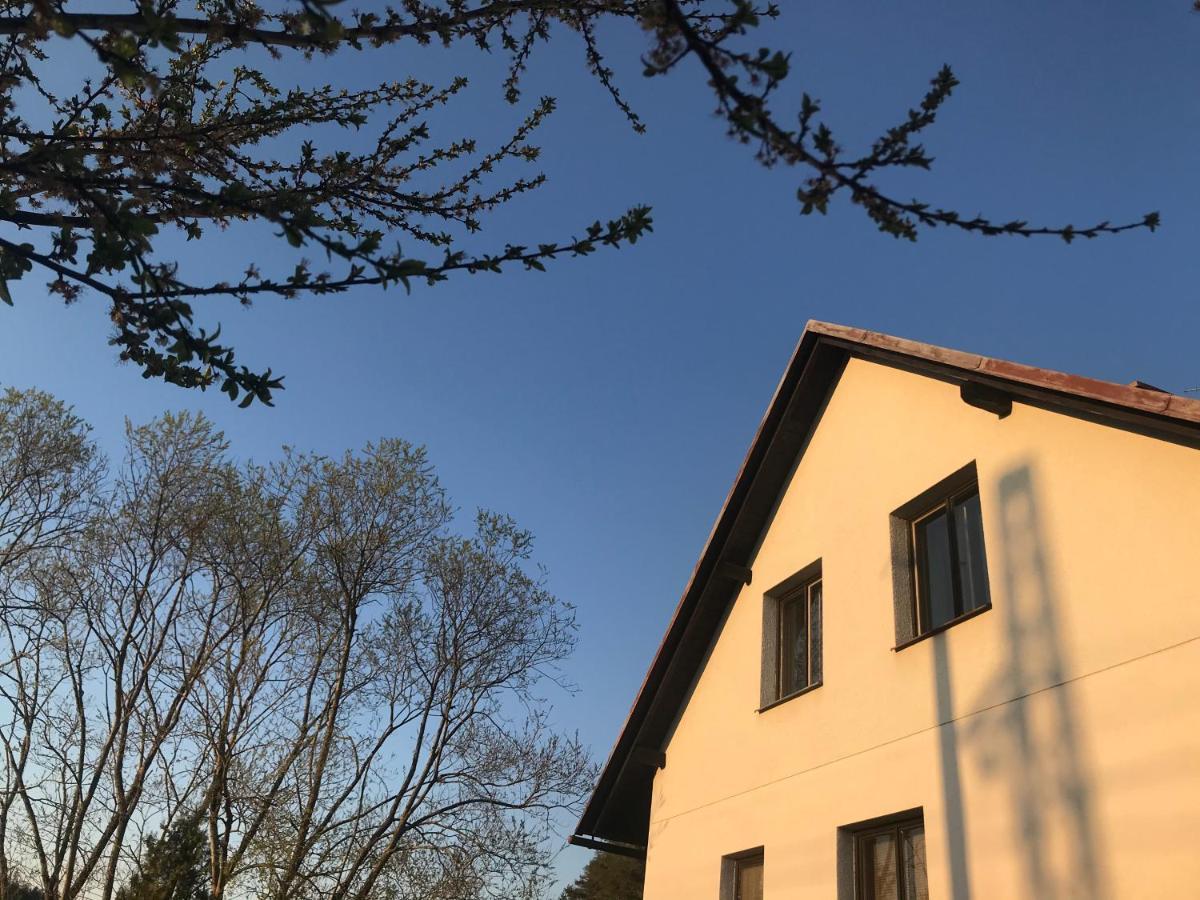 Ivko Apartment Letohrad