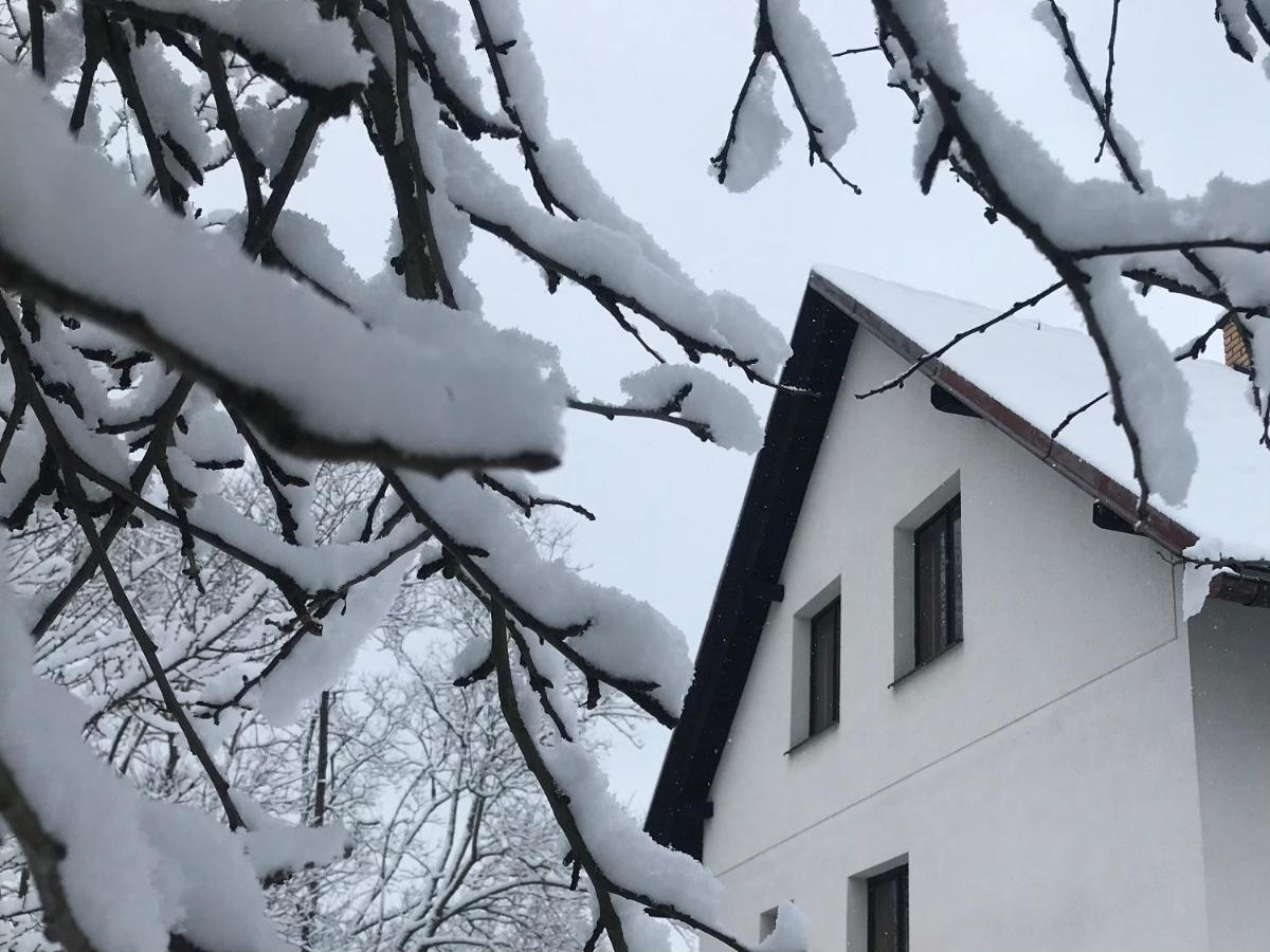 Ivko Apartment